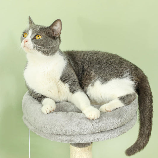 Large Cat Tree Tower with Plush Perch