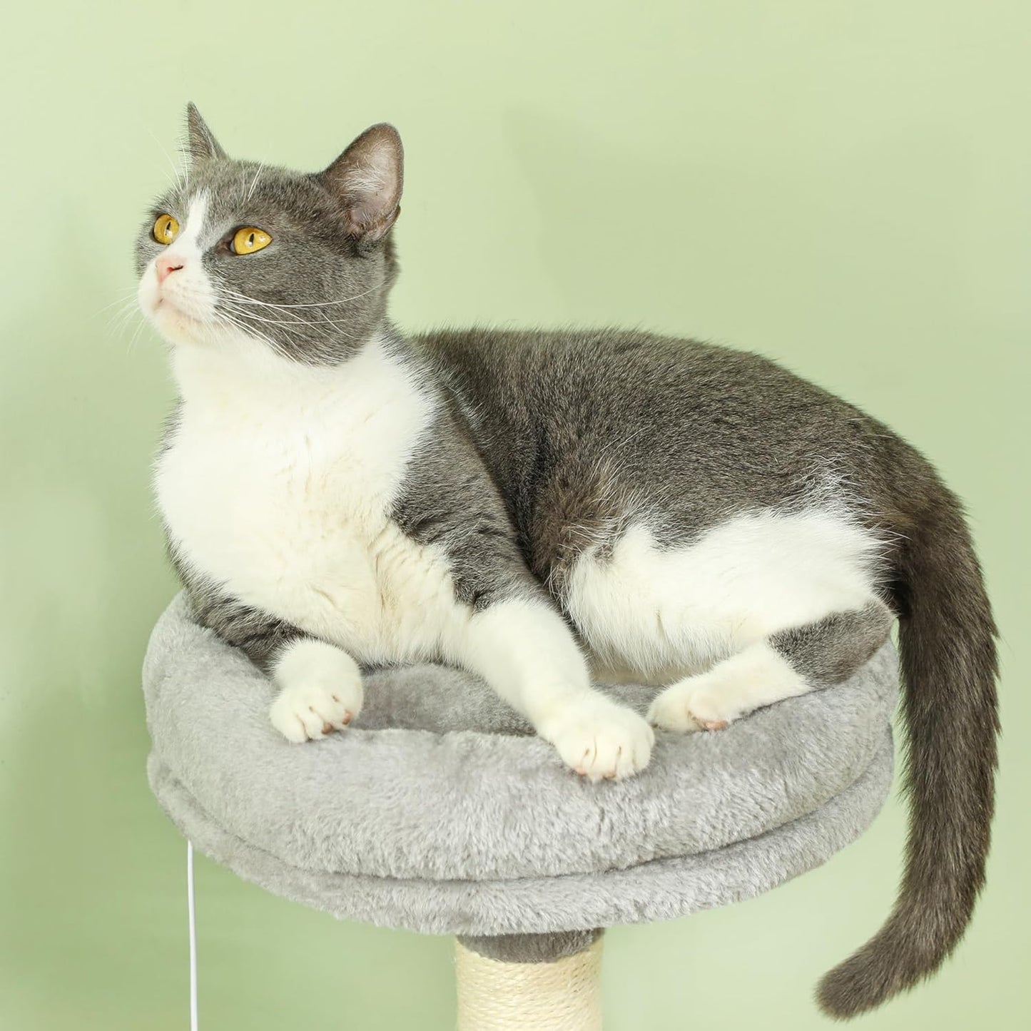 Large Cat Tree Tower with Plush Perch
