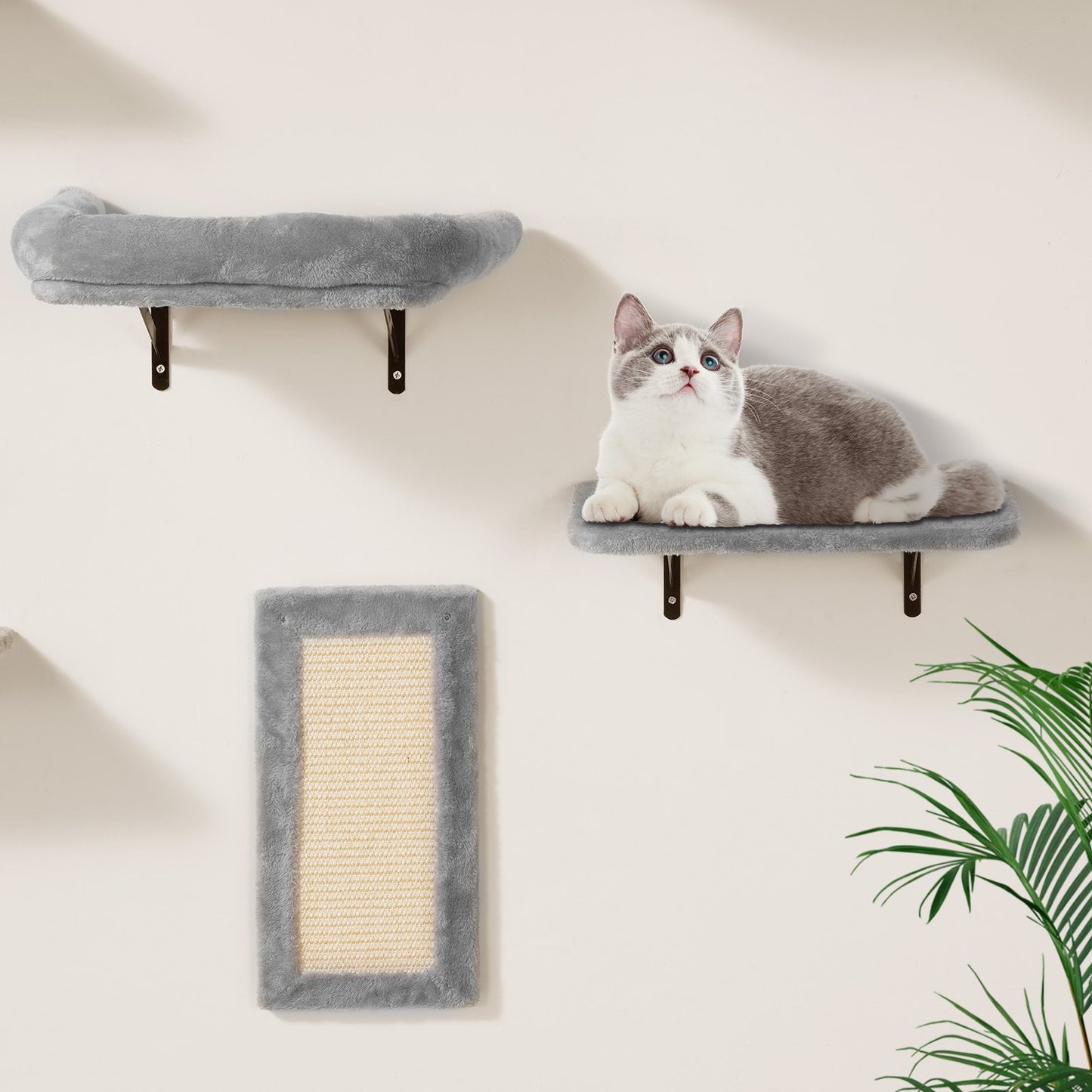 Wall Mounted Cat Shelves